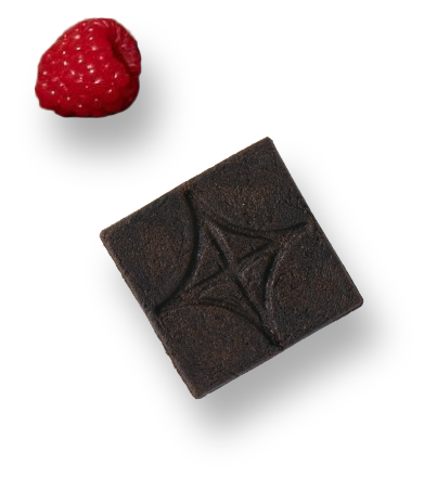 Raspberry Chocolate Tips